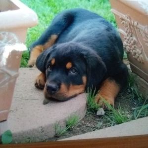 Meet your Posher, Linda